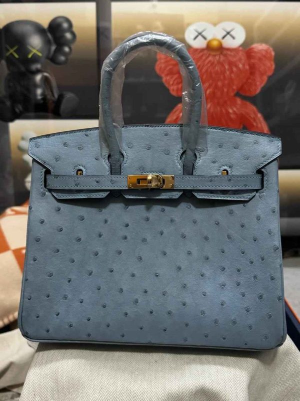 Hermes Ostrich Birkin 25 - Image 33