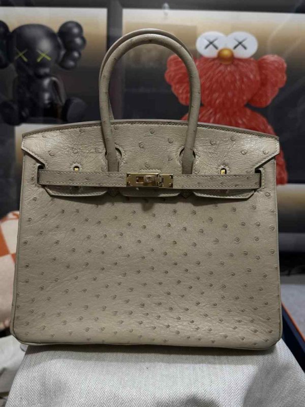 Hermes Ostrich Birkin 25 - Image 31