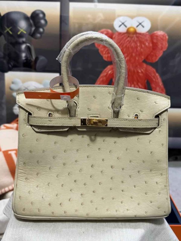 Hermes Ostrich Birkin 25 - Image 30