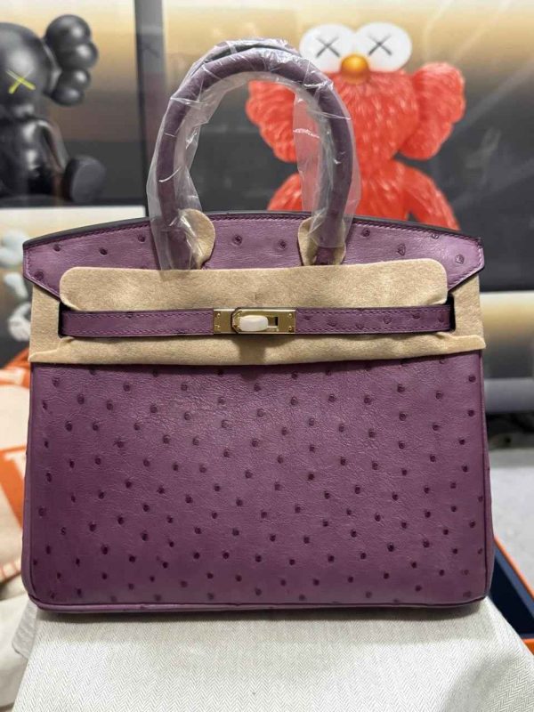 Hermes Ostrich Birkin 25 - Image 29