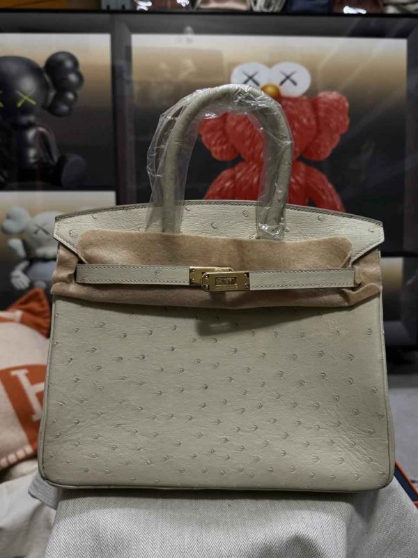 Hermes Ostrich Birkin 25 - Image 28