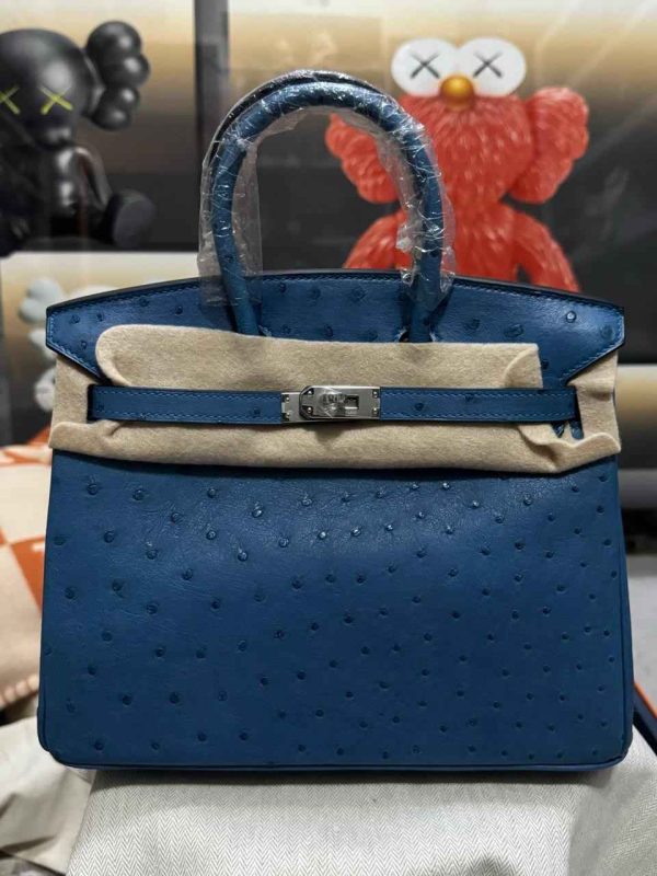 Hermes Ostrich Birkin 25 - Image 27