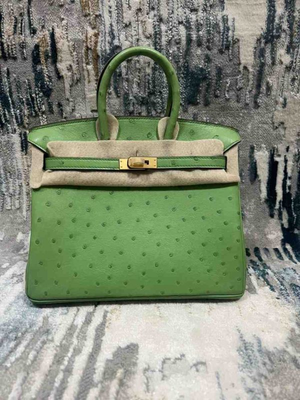 Hermes Ostrich Birkin 25 - Image 26