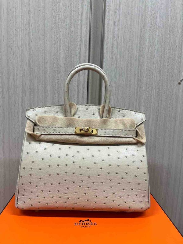 Hermes Ostrich Birkin 25