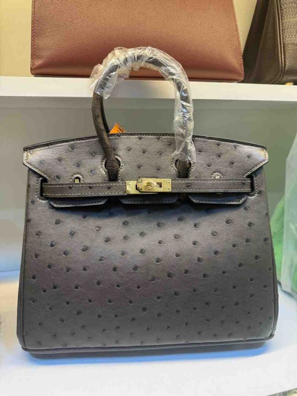 Hermes Ostrich Birkin 25 - Image 10
