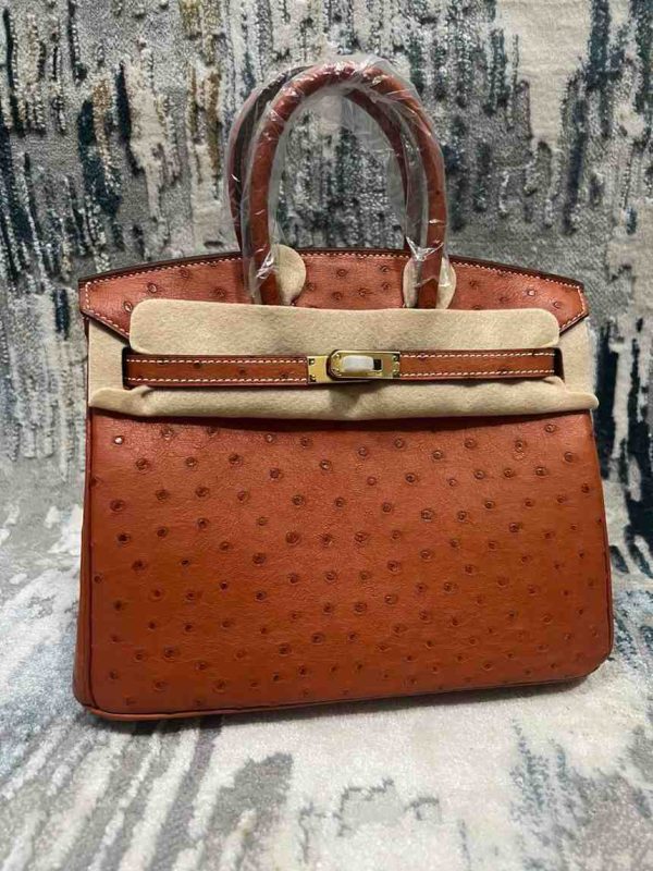 Hermes Ostrich Birkin 25 - Image 25