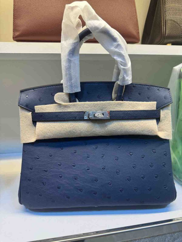 Hermes Ostrich Birkin 25 - Image 14