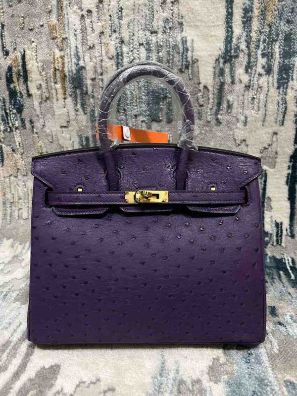 Hermes Ostrich Birkin 25 - Image 6