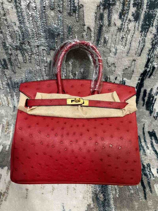 Hermes Ostrich Birkin 25 - Image 45