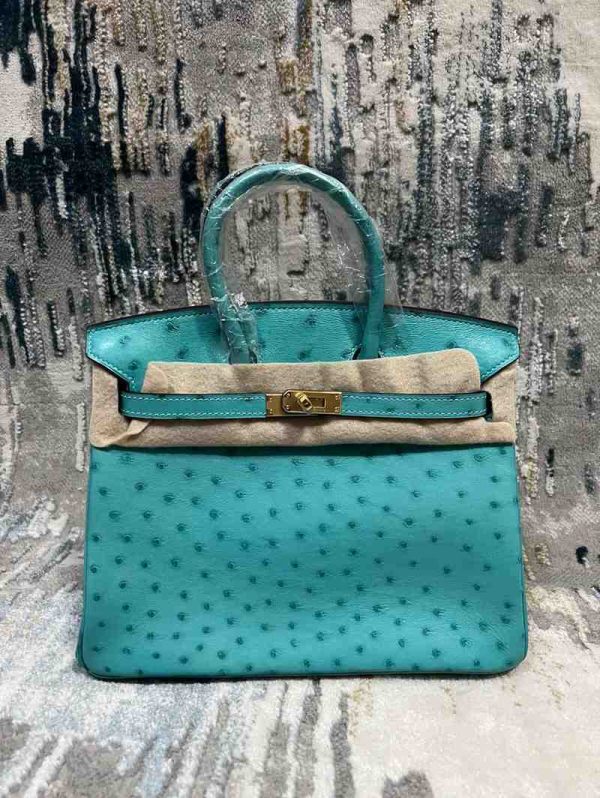 Hermes Ostrich Birkin 25 - Image 3