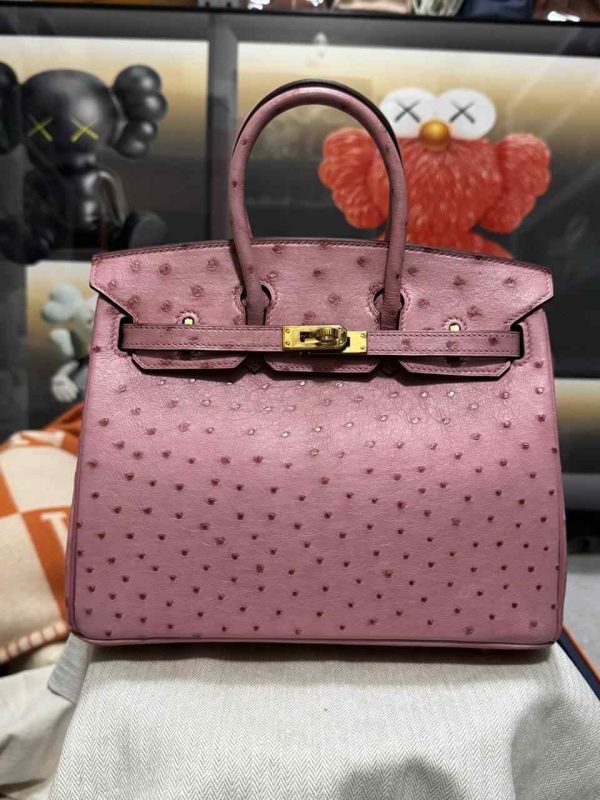 Hermes Ostrich Birkin 25 - Image 36
