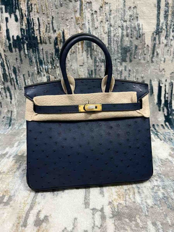 Hermes Ostrich Birkin 25 - Image 9