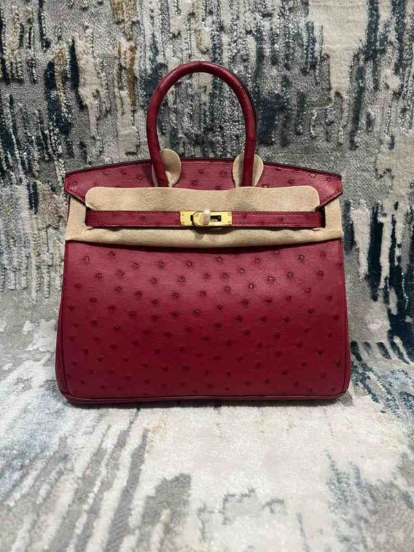 Hermes Ostrich Birkin 25 - Image 21