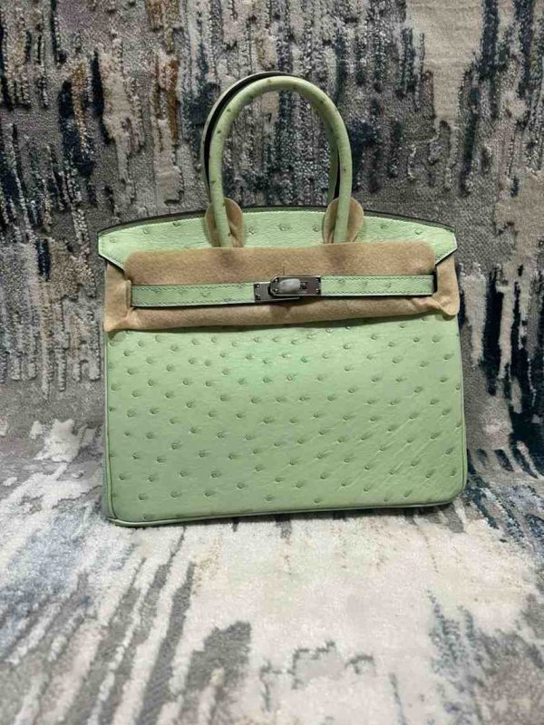 Hermes Ostrich Birkin 25 - Image 18