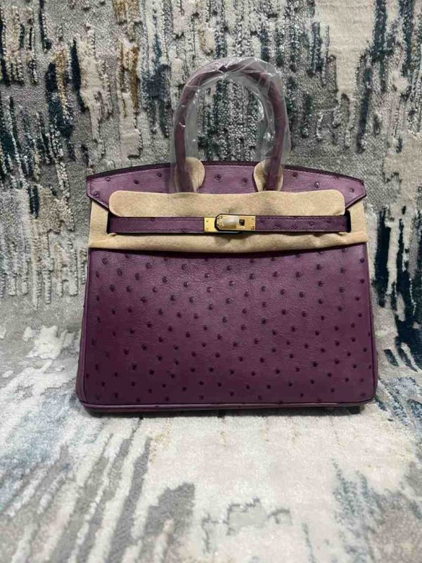 Hermes Ostrich Birkin 25 - Image 20