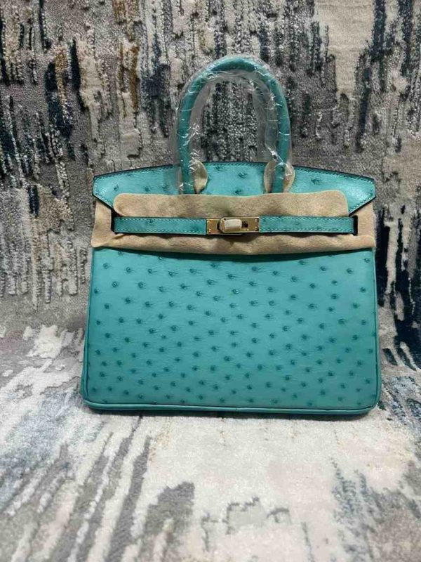 Hermes Ostrich Birkin 25 - Image 19
