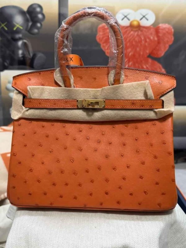 Hermes Ostrich Birkin 25 - Image 35