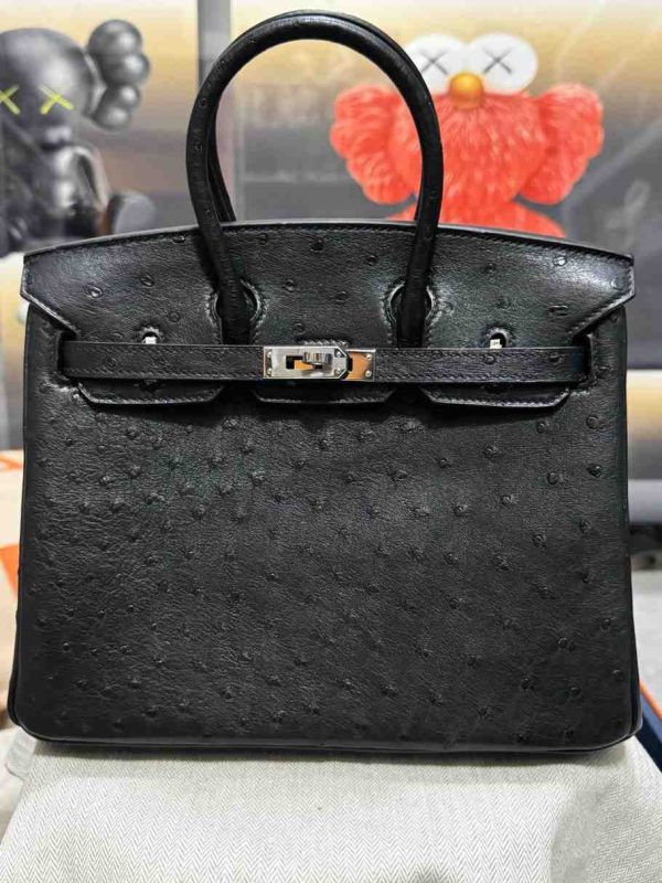 Hermes Ostrich Birkin 25 - Image 24