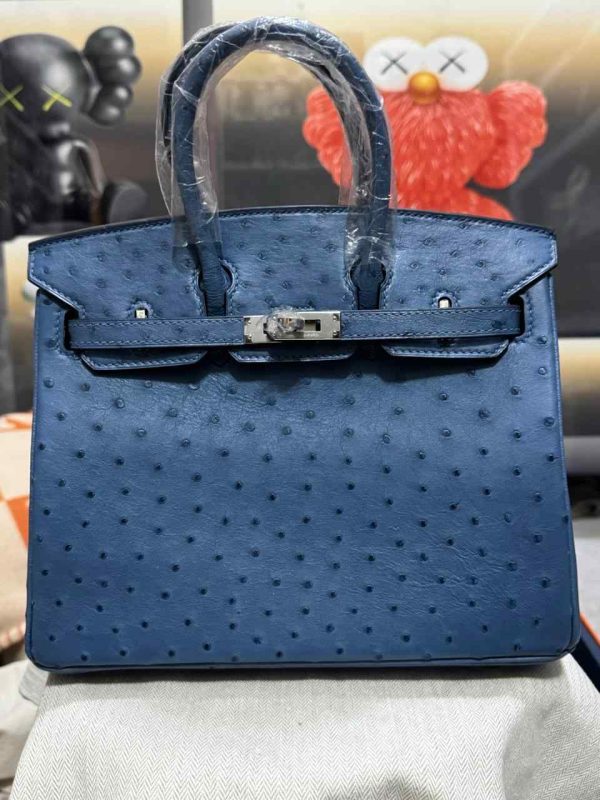 Hermes Ostrich Birkin 25 - Image 34