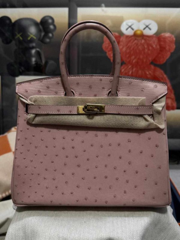 Hermes Ostrich Birkin 25 - Image 32