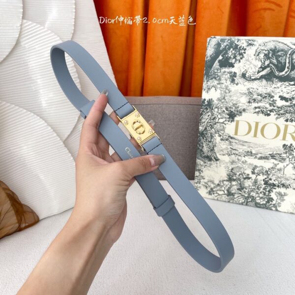 Designer Belts for Women - Image 3
