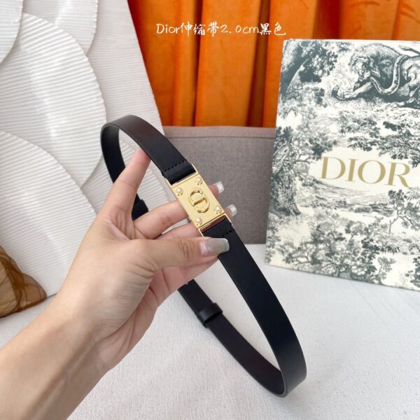 Designer Belts for Women - Image 4