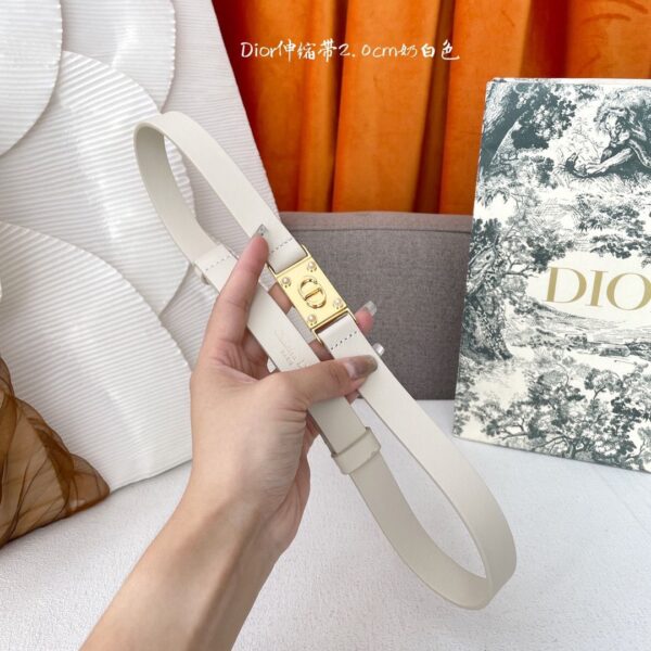 Designer Belts for Women - Image 5