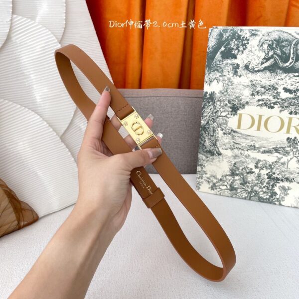 Designer Belts for Women - Image 6