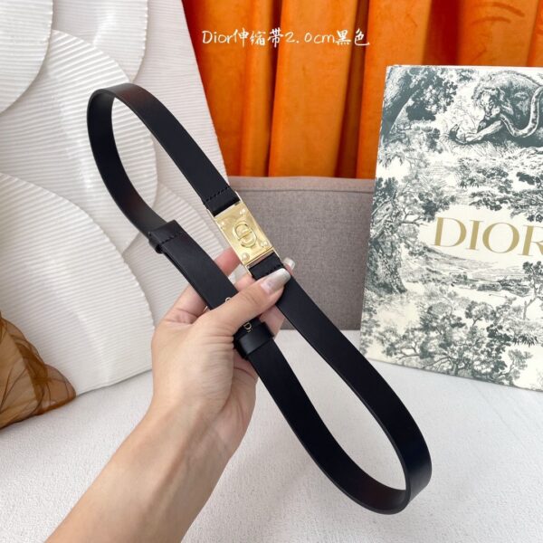 Designer Belts for Women - Image 2