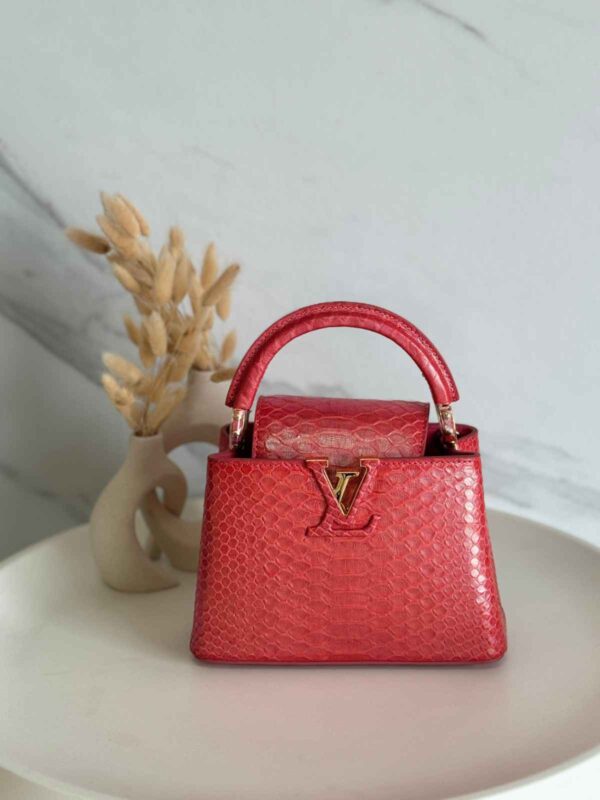 Louis Vuitton Capucine Snakeskin Small Bag 21cm - Image 2