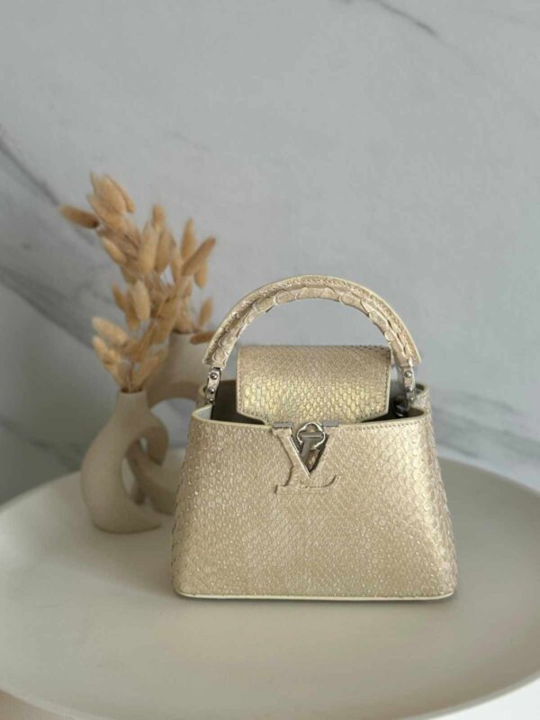 Louis Vuitton Capucine Snakeskin Small Bag 21cm - Image 4
