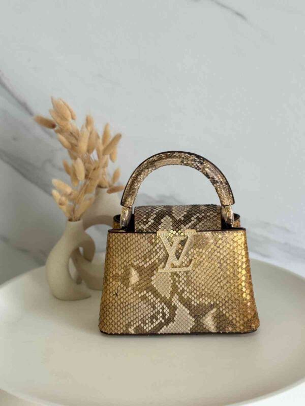 Louis Vuitton Capucine Snakeskin Small Bag 21cm - Image 5