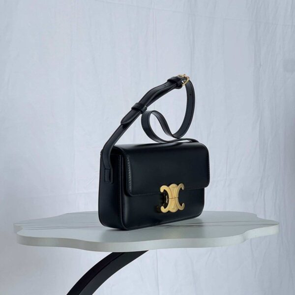 Celine Teen Triomphe Bag In Triomphe Canvas And Calfskin - Image 8