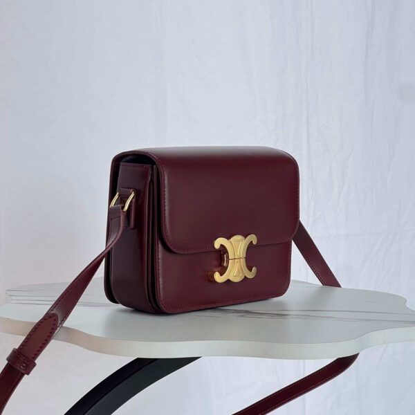 Celine Teen Triomphe Bag In Triomphe Canvas And Calfskin - Image 11