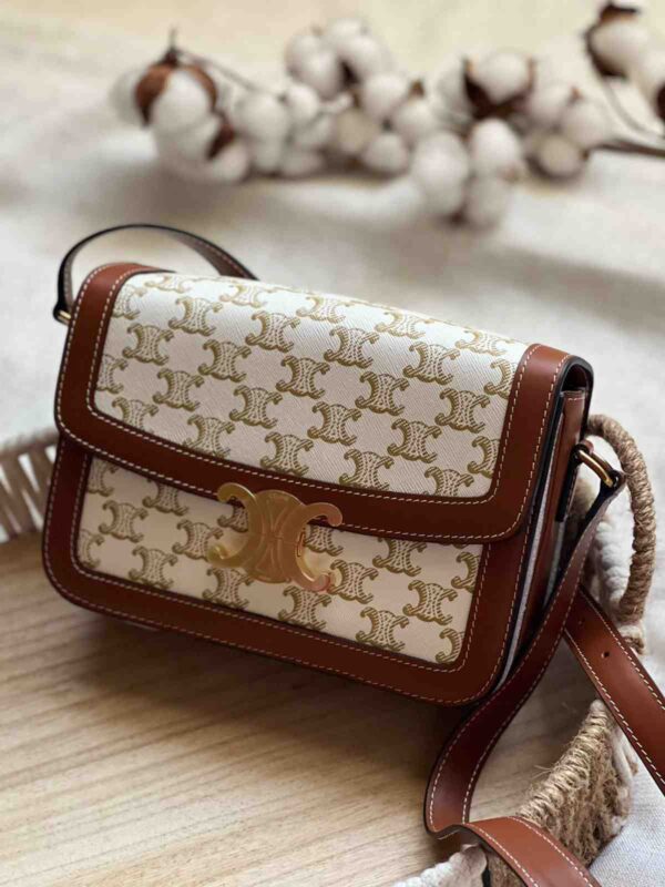 Celine Teen Triomphe Bag In Triomphe Canvas And Calfskin