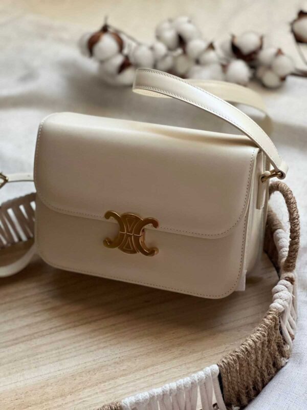 Celine Teen Triomphe Bag In Triomphe Canvas And Calfskin - Image 20