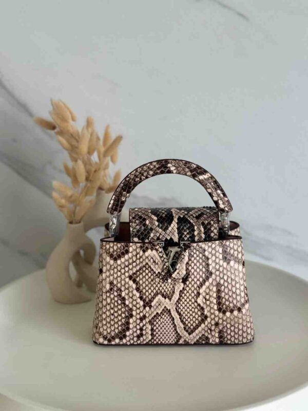 Louis Vuitton Capucine Snakeskin Small Bag 21cm