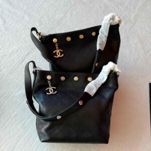 Chanel 25 Small Hobo Bag