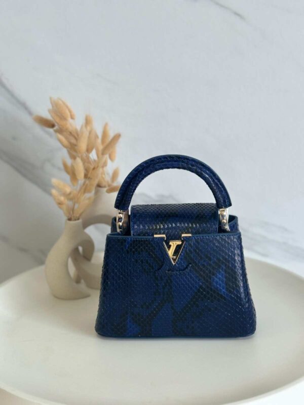 Louis Vuitton Capucine Snakeskin Small Bag 21cm - Image 7