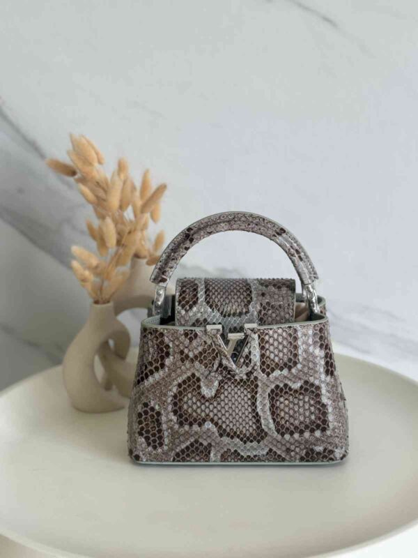 Louis Vuitton Capucine Snakeskin Small Bag 21cm - Image 6