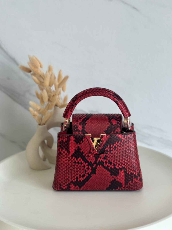 Louis Vuitton Capucine Snakeskin Small Bag 21cm - Image 8