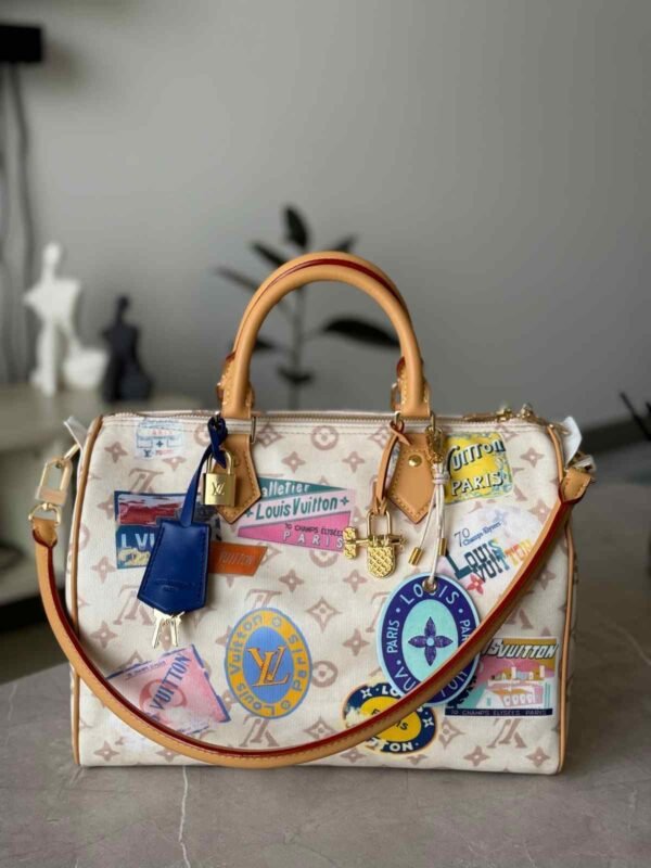 Speedy Soft 30 Other Monogram Canvas