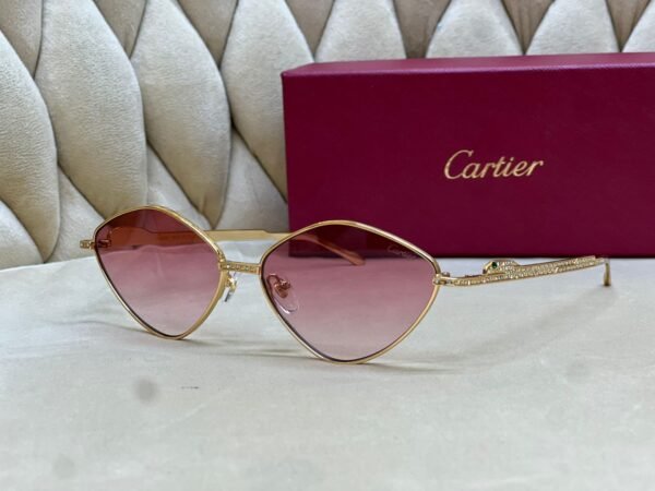 Cartier Paris Sunglasses