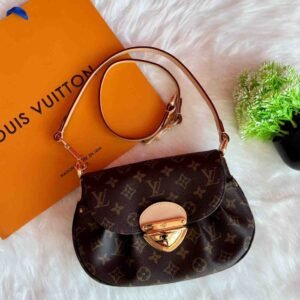 Louis Vuitton Maison Fen 1854 bag